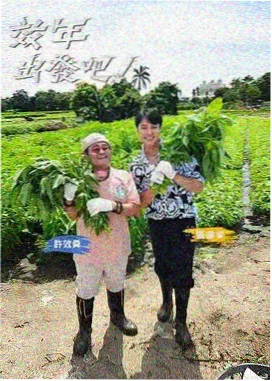 九狐音乐节