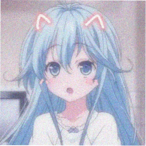 主播小狐